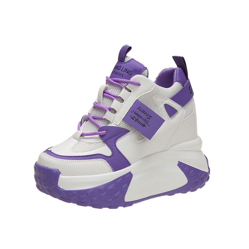 Mesh Trainer Breathable - 9.5CM Vrouwen Hoge Platform Sneakers Herfst