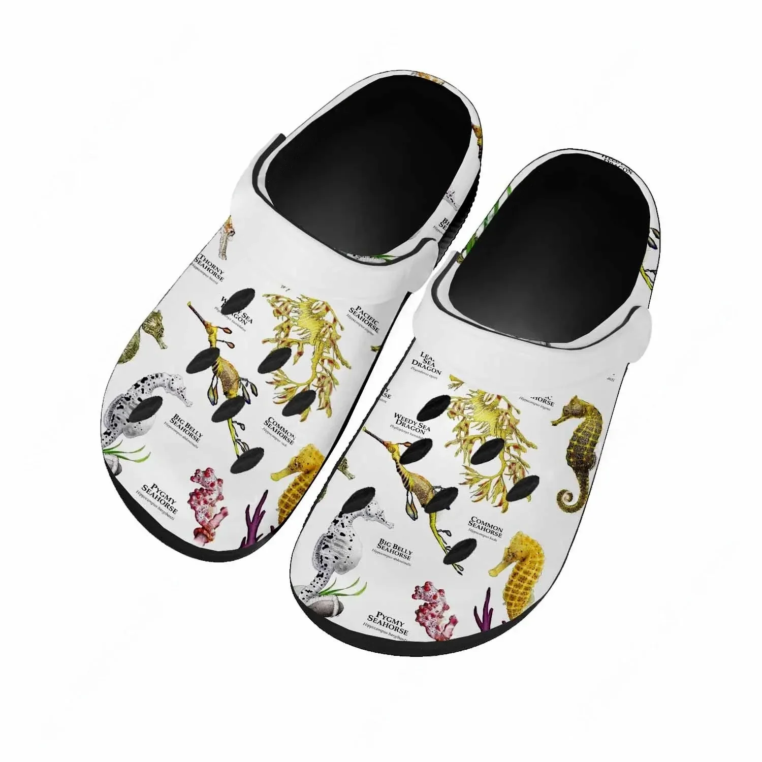 Seahorse Sandalen Dames Tiener - Men'S Shoes Quality recensie en prijs