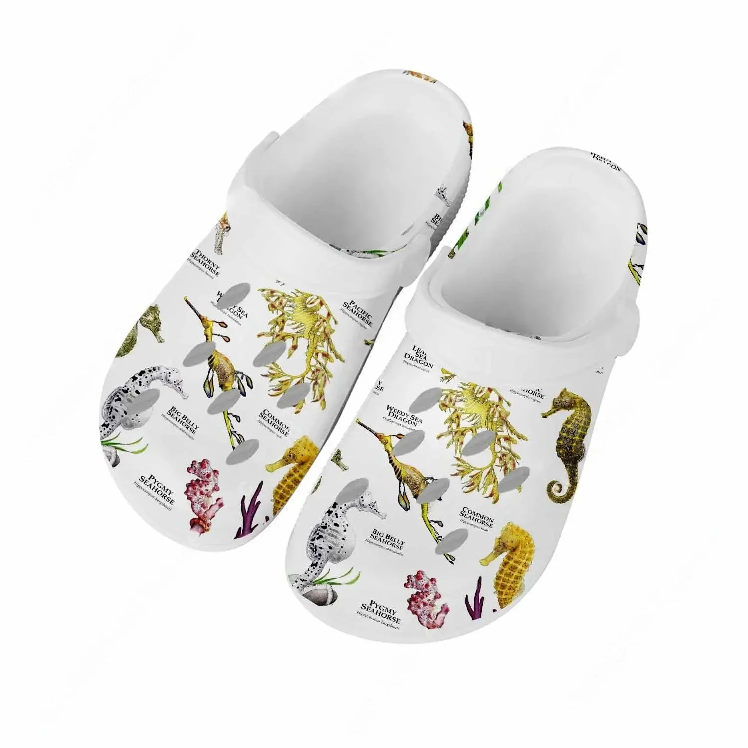 Seahorse Sandalen Heren Dames  - Men'S Shoes Quality recensie en prijs
